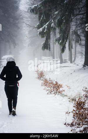 Uno scatto verticale di una donna che cammina su una strada coperta di neve circondata da alberi in una giornata invernale Foto Stock