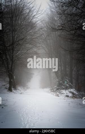 Uno scatto verticale di una strada coperta di neve appannata nella foresta - scena invernale scura Foto Stock