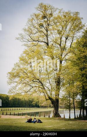 Uno scatto verticale del parco nazionale di Domaine de Marly a Marly-le-Roi, Francia in primavera Foto Stock