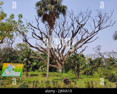 Un segno informativo nel verde lussureggiante giardino botanico a Kolkata, India Foto Stock