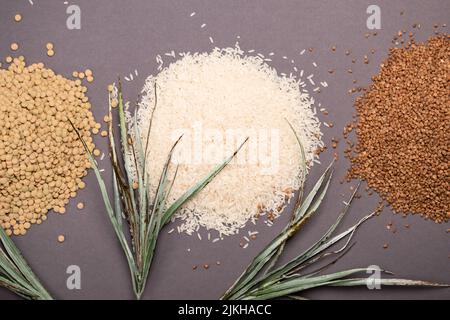 Una vista dall'alto di grano saraceno, riso e lenticchie seminate sul tavolo decorato da foglie acuminate verdi Foto Stock