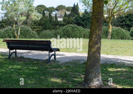 Una panchina in legno sul sentiero con uno sfondo di alberi diversi nel Parco Urbano di Santa Iria d'Azoia a Loures, Portogallo Foto Stock