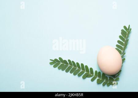 Una bella vista di un uovo tra un verde Tamarind foglie isolato su uno sfondo bianco Foto Stock