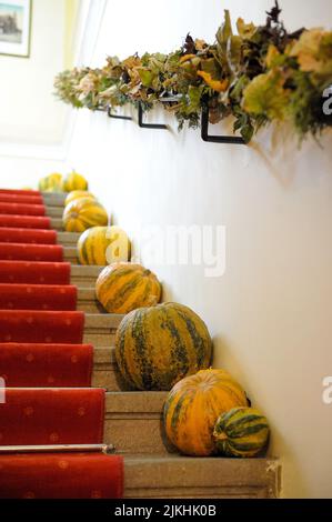 Un colpo verticale di zucche disposto in fila sulle scale Foto Stock