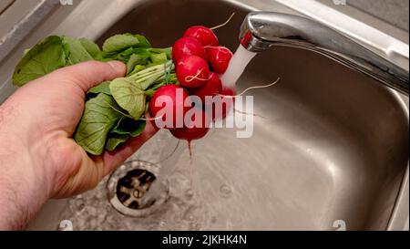 l'uomo lava un mazzo di ravanelli sotto l'acqua Foto Stock