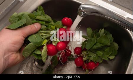 l'uomo lava un mazzo di ravanelli sotto l'acqua Foto Stock