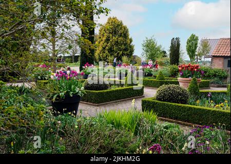 RHS Hyde Hall, casa colonica o sala lettura giardino, in una calda giornata di primavera. Foto Stock