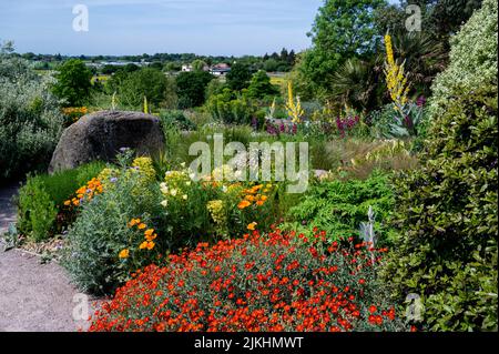 RHS Hyde Hall, Dry Garden, sotto il sole di tarda primavera. Il suo aspetto è più colorato. Foto Stock