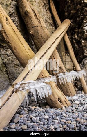 Piccole formazioni di ghiaccio su tronchi di legno nella foresta Foto Stock