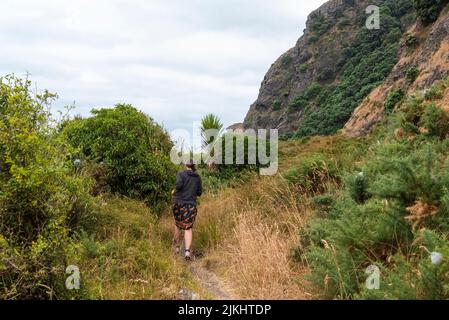 Splendida vegetazione sulla spiaggia di Whatipu ad Auckland, Nuova Zelanda Foto Stock