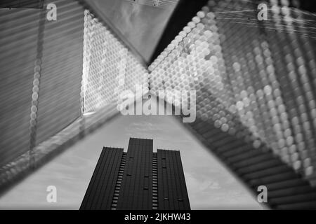 Un basso angolo in scala di grigi di edifici alti e moderni Foto Stock