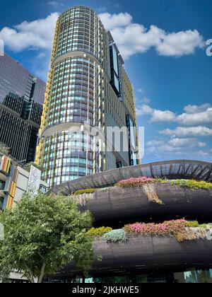 Barangaroo Buildings, Sydney, New South Wales Australia Foto Stock