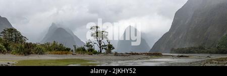 Magnifica vista panoramica di Milford Sound durante il tempo piovoso, Isola del Sud della Nuova Zelanda Foto Stock