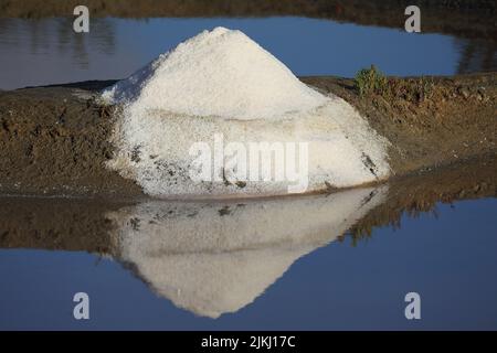 Un sale marino appena estratto pronto per il confezionamento Foto Stock