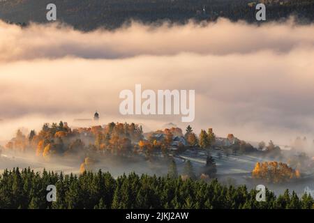 Il villaggio Schluchsee nella nebbia mattutina, Foresta Nera, Baden-Württemberg, Germania Foto Stock