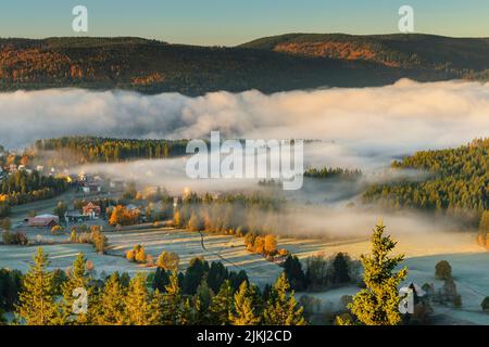 Nebbia al mattino presto su Schluchsee, Foresta Nera, Baden-Württemberg, Germania Foto Stock