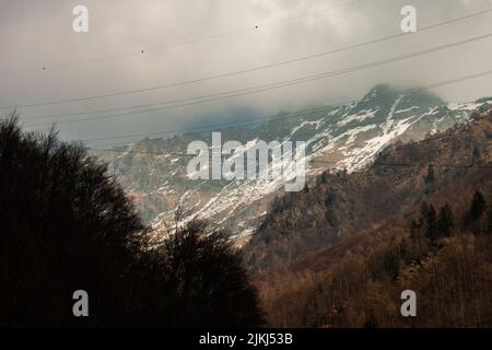 Un colpo aereo di fitta foresta sullo sfondo di montagne innevate che vanno Maslana villaggio Foto Stock