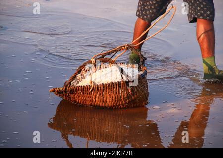 Il lavoratore che raccoglie il sale manualmente in Kampot, Cambogia Foto Stock