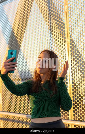 Sorridente femmina che fa videochiamata al tramonto, guarda lo schermo dello smartphone e parla con amici, familiari, coppie... Verticale Foto Stock