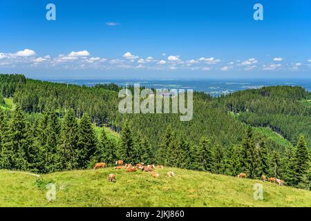 Germania, Baviera, Tölzer Land, Wackersberg, Schnaiteralm, Vista su Blomberghaus Foto Stock