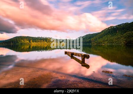 Una vista ipnotizzante di un lago tranquillo circondato da alberi nel Lago Tarawera, Nuova Zelanda Foto Stock