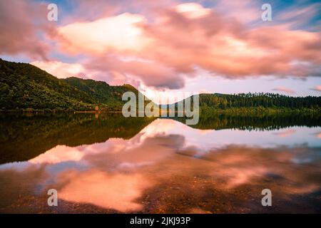 Una vista ipnotizzante di un lago tranquillo circondato da alberi nel Lago Tarawera, Nuova Zelanda Foto Stock