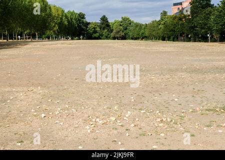 Finsbury Park, Londra, Regno Unito. 2nd ago 2022. UK Meteo: Avvisi di siccità per il Regno Unito, scenario secco a Finsbury Park, a nord di Londra. Credit: Matthew Chattle/Alamy Live News Foto Stock