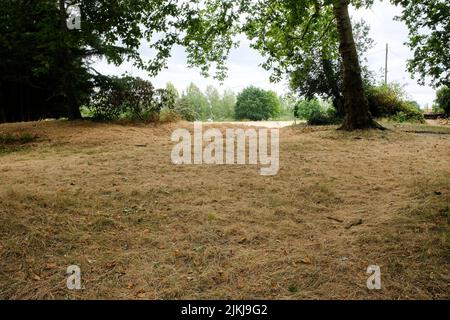 Finsbury Park, Londra, Regno Unito. 2nd ago 2022. UK Meteo: Avvisi di siccità per il Regno Unito, scenario secco a Finsbury Park, a nord di Londra. Credit: Matthew Chattle/Alamy Live News Foto Stock