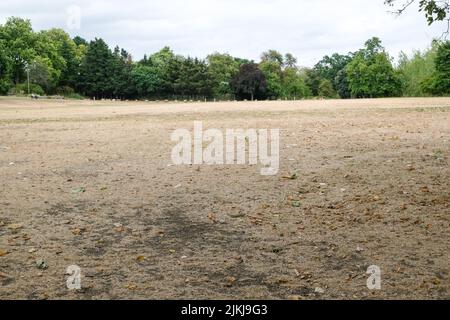 Finsbury Park, Londra, Regno Unito. 2nd ago 2022. UK Meteo: Avvisi di siccità per il Regno Unito, scenario secco a Finsbury Park, a nord di Londra. Credit: Matthew Chattle/Alamy Live News Foto Stock