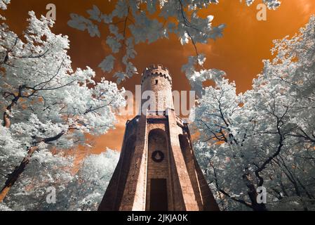 Torre forestale vicino a Jena circondata da alberi decidui in infrarossi immagine di falsi colori (3) Foto Stock