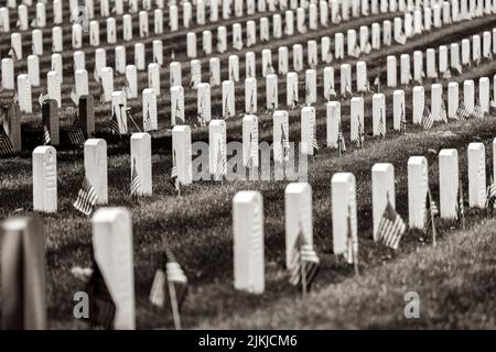 American Flags line Arlington National Cemetery il Lunedi, 30 maggio 2022, come presidente Joe Biden e prima Lady Jill Biden arrivo per le cerimonie Memorial Day. (Foto ufficiale della Casa Bianca di Adam Schultz) Arlington National Cemetery è un cimitero militare degli Stati Uniti nella contea di Arlington, Virginia, Attraverso il fiume Potomac da Washington, D.C., in cui 639 acri i morti dei conflitti della nazione sono stati sepolti, a partire dalla guerra civile, così come reinterred morti dalle guerre precedenti. Il Dipartimento dell'esercito degli Stati Uniti, una componente del Dipartimento della difesa degli Stati Uniti (DOD), Foto Stock