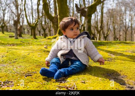 Un ragazzo di un anno che siede nella foresta una mattina di primavera Foto Stock