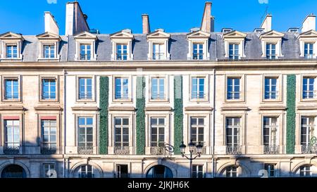 Parigi, bellissimo edificio rue Royale, in un quartiere di lusso Foto Stock