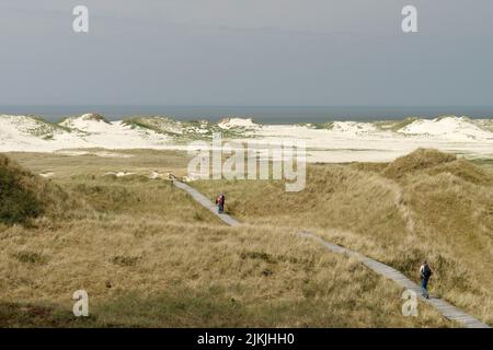 Vista dal Quermarkenfeuer al paesaggio delle dune vicino a Norddorf, Norddorf, Amrum, Frisia settentrionale, Mare del Nord, Isole Frisone del Nord, Parco Nazionale del Mare di Wadden, Parco Nazionale del Mare di Schleswig-Holstein, Schleswig-Holstein, Germania Foto Stock