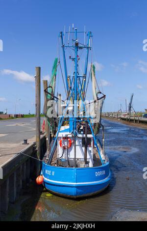 Kutterhafen, Dorumer Neufeld, Dorum, bassa Sassonia, Germania, Europa Foto Stock