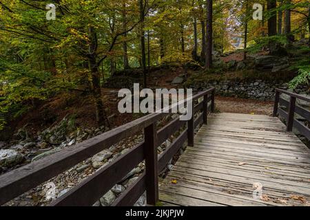 Ponte di legno nel bosco, Oropa, Piemonte, Italia Foto Stock