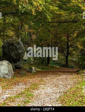 Paesaggio e colori autunnali nei pressi del santuario di Oropa, Piemonte, Italia Foto Stock