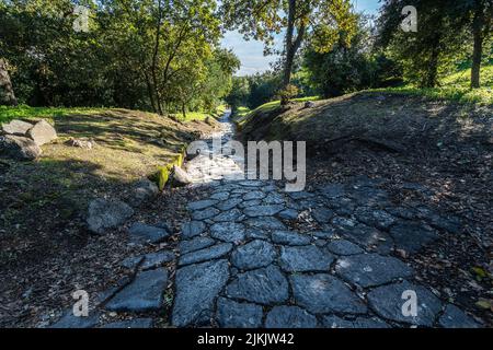 Un'antica strada acciottolata nella città romana di Cumae al parco archeologico di Cumae, Pozzuoli, Italia Foto Stock