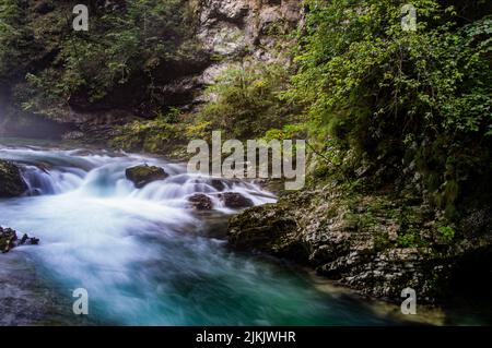 Una vista panoramica della piccola cascata nella foresta Foto Stock