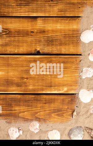 cornice di spiaggia con sabbia e crostacei Foto Stock