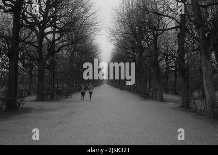 Una vista in bianco e nero del viale del palazzo di Schoenbrunn in Austria, Vienna Foto Stock