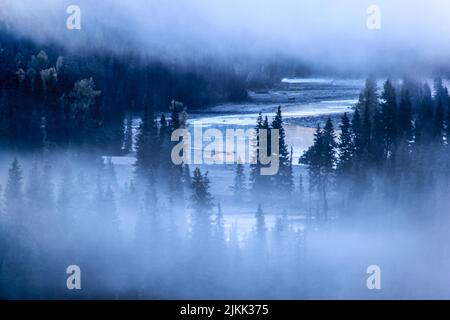 Una vista panoramica del fiume Kanas che scorre in una fitta foresta coperta di nebbia al mattino presto, nella prefettura di Altay, nella regione autonoma di Xinjiang Uygur, Cina Foto Stock