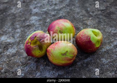 Un gruppo di nettarine sul terreno. Foto Stock