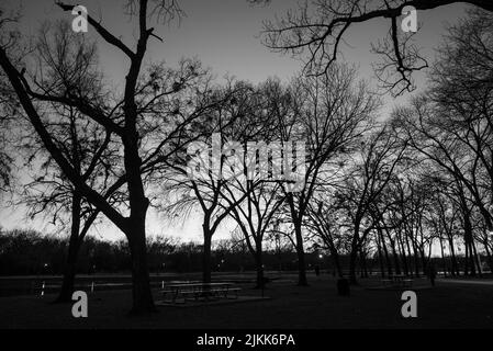 Una foto in scala di grigi del parco del lago towne con uccelli a McKinney, Texas Foto Stock