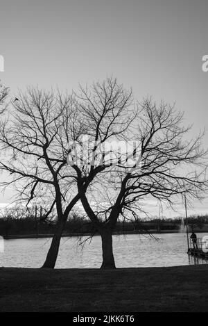 Una foto in scala di grigi del parco del lago towne a McKinney, Texas Foto Stock