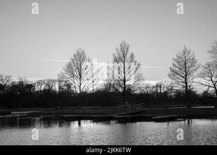 Una foto in scala di grigi del parco del lago towne con uccelli a McKinney, Texas Foto Stock