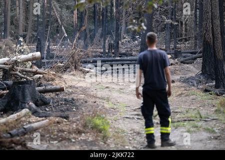 Schmilka, Germania. 02nd ago 2022. Un vigile del fuoco effettua un'indagine sui danni provocati dagli incendi nella zona centrale del Parco Nazionale della Svizzera sassone presso il Großer Winterberg, nella zona di confine tra Germania e Repubblica Ceca. Credit: Sebastian Kahnert/dpa/Alamy Live News Foto Stock