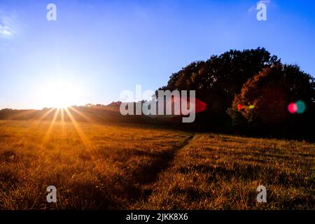 Una vista panoramica del luminoso tramonto che splende su un campo agricolo in campagna Foto Stock