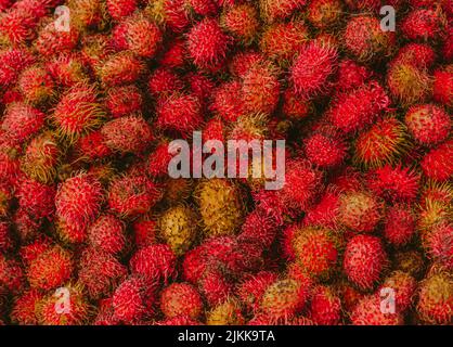 Un primo piano di frutta di rambutan matura appena raccolta in luce brillante Foto Stock