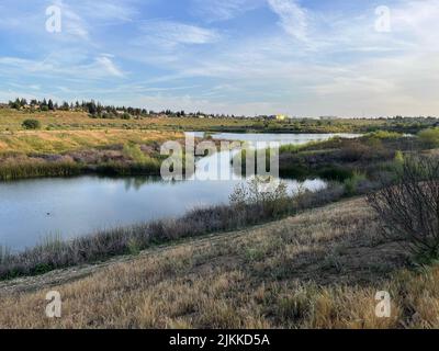 Una bella vista di uno stagno nel mezzo di un campo a Fresno, Stati Uniti. Foto Stock